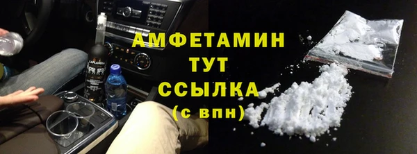 твердый Бородино