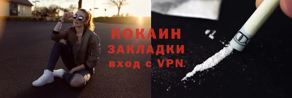 ГАЛЛЮЦИНОГЕННЫЕ ГРИБЫ Белокуриха