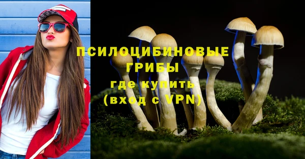 альфа пвп Бугульма