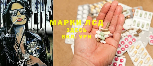 твердый Бородино