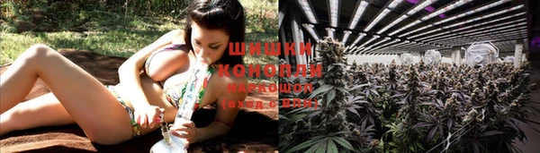 ГАЛЛЮЦИНОГЕННЫЕ ГРИБЫ Белокуриха