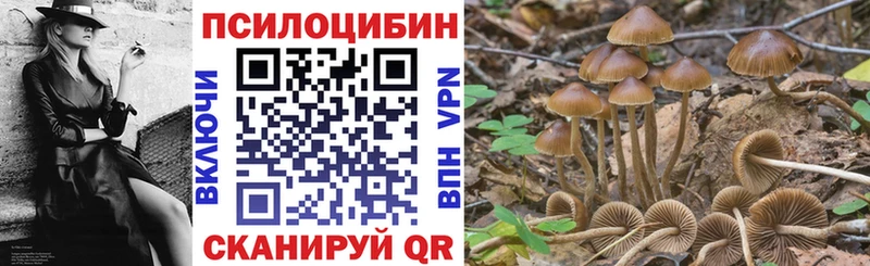 это официальный сайт  где купить   Махачкала  Галлюциногенные грибы ЛСД 